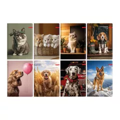 ТЕТРАДКА A4 ILIJANUM PETS UV MK 60Л 48367_0