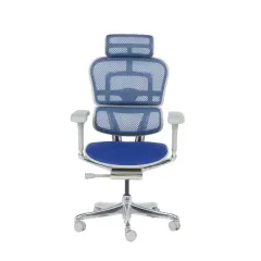 ЕРГОНОМИЧЕН ОФИС СТОЛ ERGOHUMAN ELITE 2 - СИВА РАМКА - СИН_1