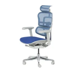 ЕРГОНОМИЧЕН ОФИС СТОЛ ERGOHUMAN ELITE 2 - СИВА РАМКА - СИН_2