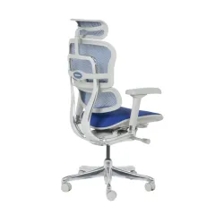 ЕРГОНОМИЧЕН ОФИС СТОЛ ERGOHUMAN ELITE 2 - СИВА РАМКА - СИН_4