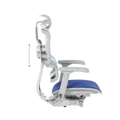 ЕРГОНОМИЧЕН ОФИС СТОЛ ERGOHUMAN ELITE 2 - СИВА РАМКА - СИН_6