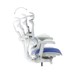 ЕРГОНОМИЧЕН ОФИС СТОЛ ERGOHUMAN ELITE 2 - СИВА РАМКА - СИН_7