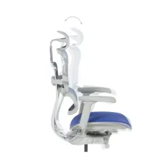 ЕРГОНОМИЧЕН ОФИС СТОЛ ERGOHUMAN ELITE 2 - СИВА РАМКА - СИН_8