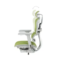 ЕРГОНОМИЧЕН ОФИС СТОЛ ERGOHUMAN ELITE 2 - ЗЕЛЕН - TEX/TEX - СИВА РАМКА_9