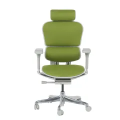 ЕРГОНОМИЧЕН ОФИС СТОЛ ERGOHUMAN ELITE 2 - ЗЕЛЕН - TEX/TEX - СИВА РАМКА_1