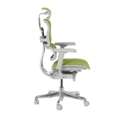 ЕРГОНОМИЧЕН ОФИС СТОЛ ERGOHUMAN ELITE 2 - ЗЕЛЕН - TEX/TEX - СИВА РАМКА_3