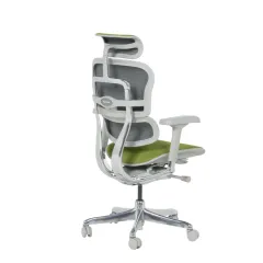 ЕРГОНОМИЧЕН ОФИС СТОЛ ERGOHUMAN ELITE 2 - ЗЕЛЕН - TEX/TEX - СИВА РАМКА_4