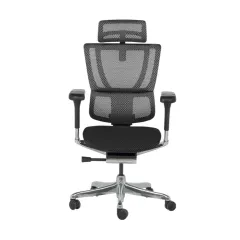 ЕРГОНОМИЧЕН СТОЛ ERGOHUMAN IOO ELITE 2 - ЧЕРЕН_1