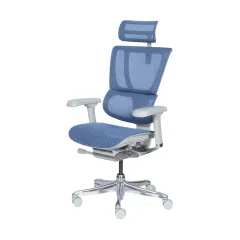 ЕРГОНОМИЧЕН СТОЛ ERGOHUMAN IOO ELITE 2 - СИН_2