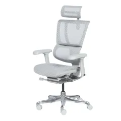 ЕРГОНОМИЧЕН СТОЛ ERGOHUMAN IOO ELITE 2 - СИВ_2