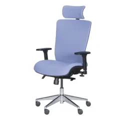 ЕРГОНОМИЧЕН ОФИС СТОЛ COTIA - СИН_2