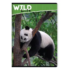 ТЕТРАДКА А5 ILIJANUM WILD LIFE UV MK 52Л 48365_4