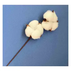 КОЛЕДНИ КЛОНКИ - 25-129 5118_0