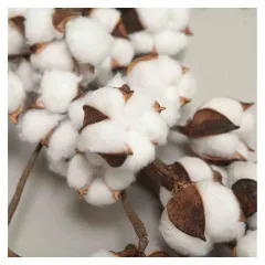 КОЛЕДНИ КЛОНКИ - 25-129 5118_1