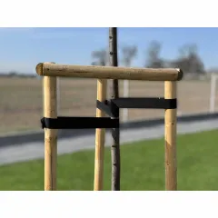 ЛЕНТА ЗА УКРЕПВАНЕ НА ДРЪВЧЕТА - BRADAS, 50ММх25М_1