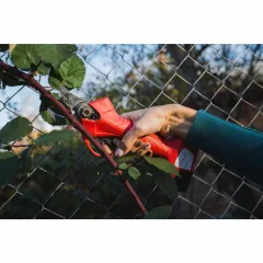 ЛОЗАРКА НОЖИЦА, АКУМУЛАТОРНА - RD-PSH02_5