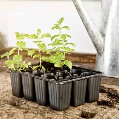 КАСЕТА ЗА РАЗСАД - 4БРх12 КЛЕТКИ / 0570076_1