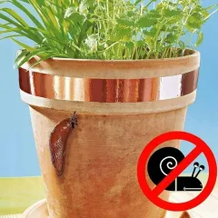 МЕДНА ЛЕНТА ПРОТИВ ОХЛЮВИ - HOME IT, 2,5x400СМ / 91622_1