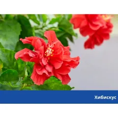 ПОДОБРИТЕЛ НА ПОЧВА - HÜNIGER, HU12372_2