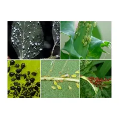 ПУДРА ПРОТИВ ЛИСТНИ ВЪЖКИ - HÜNIGER, HU12363_3