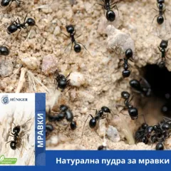 ПУДРА ПРОТИВ МРАВКИ - HÜNIGER, HU12356_2