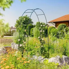 АРКА ЗА РОЗИ И ДРУГИ РАСТЕНИЯ - 0570162_2