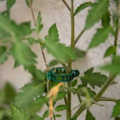 СКОБИ ЗА РАСТЕНИЯ - 23ММх100БР, TYK022GR/100_3