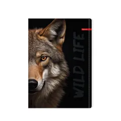 ТЕТРАДКА 60Л А4 - ILIJANUM WILD LIFE UV MK / 52698 / ШИРОКИ РЕДОВЕ_3